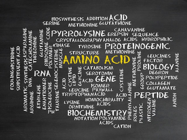 Amino acid